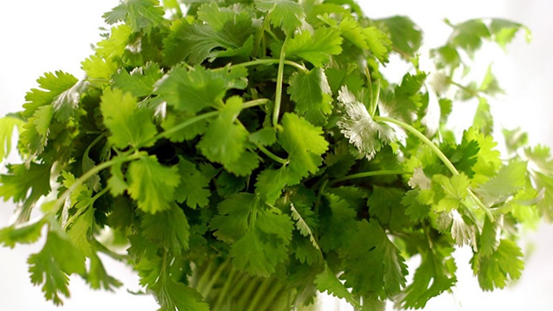 27 loại rau thơm phổ biến ở Việt Nam và công dụng của chúng