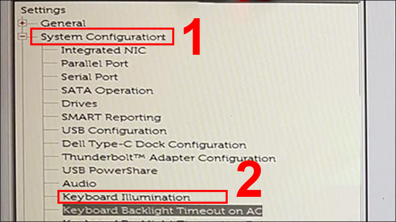 Bước 2: Vào System Configuration > Chọn Keyboard Illumination.